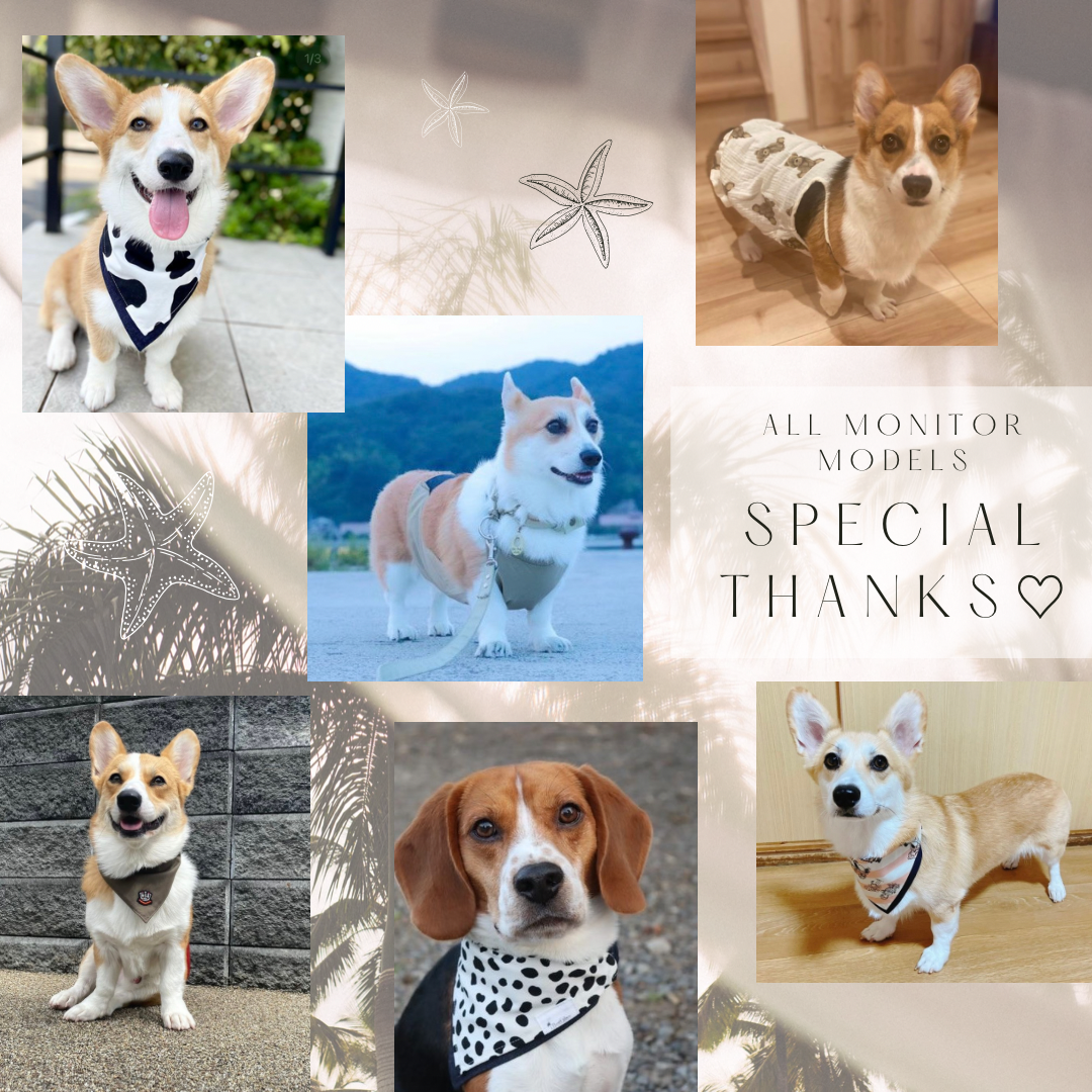 モニターモデル任期終了*