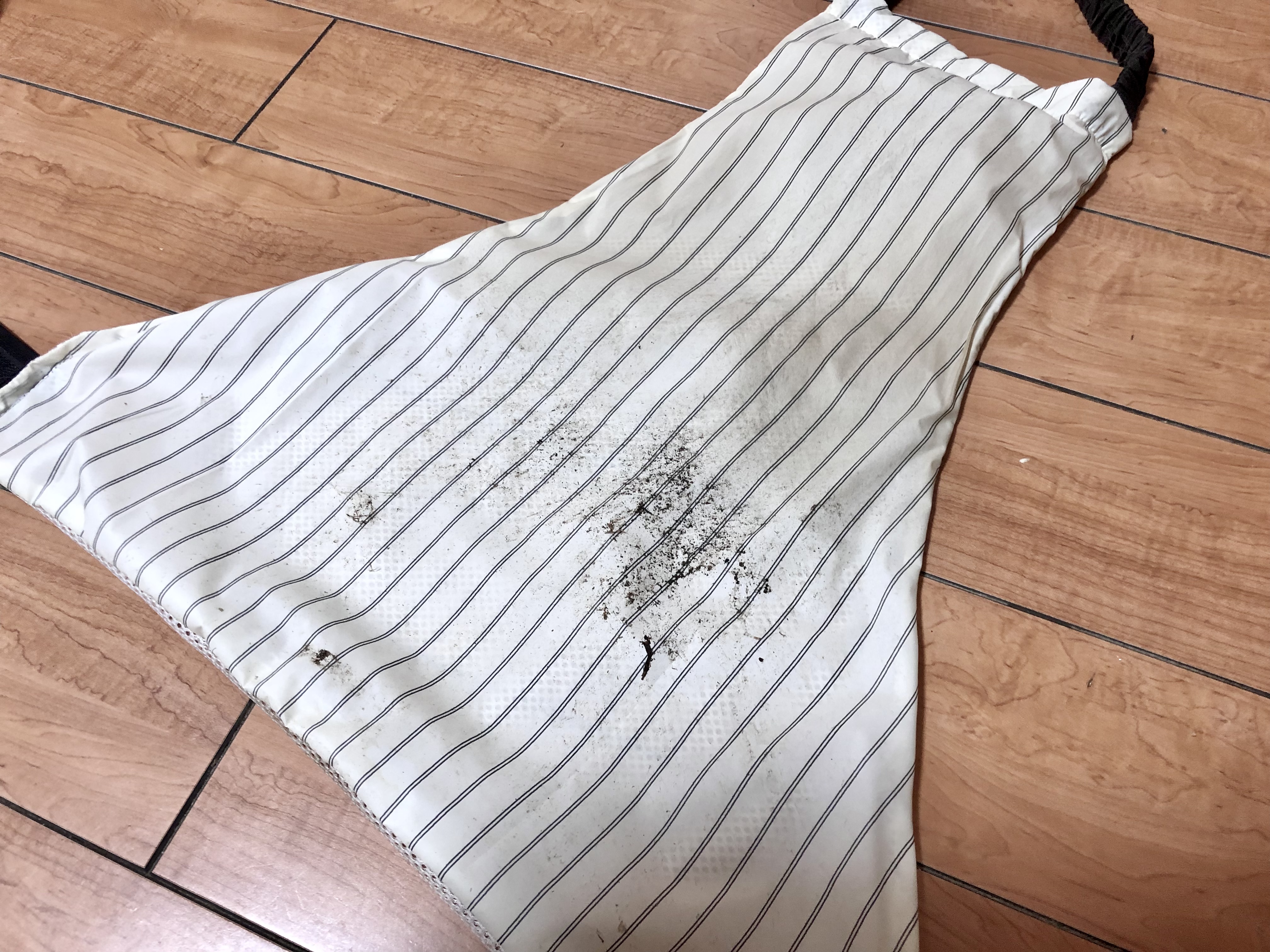 ・・・(　ﾟдﾟ)