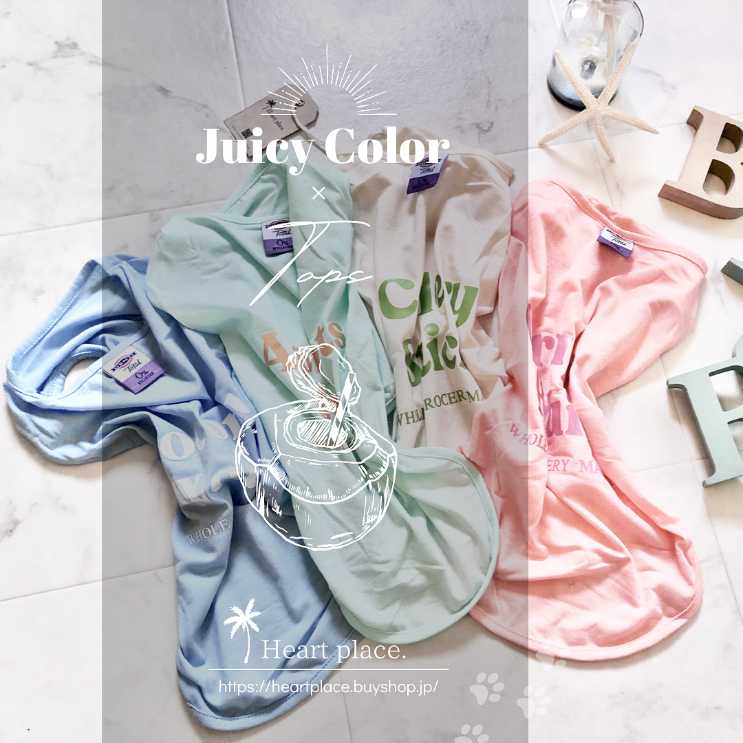 新着*のお洋服たち