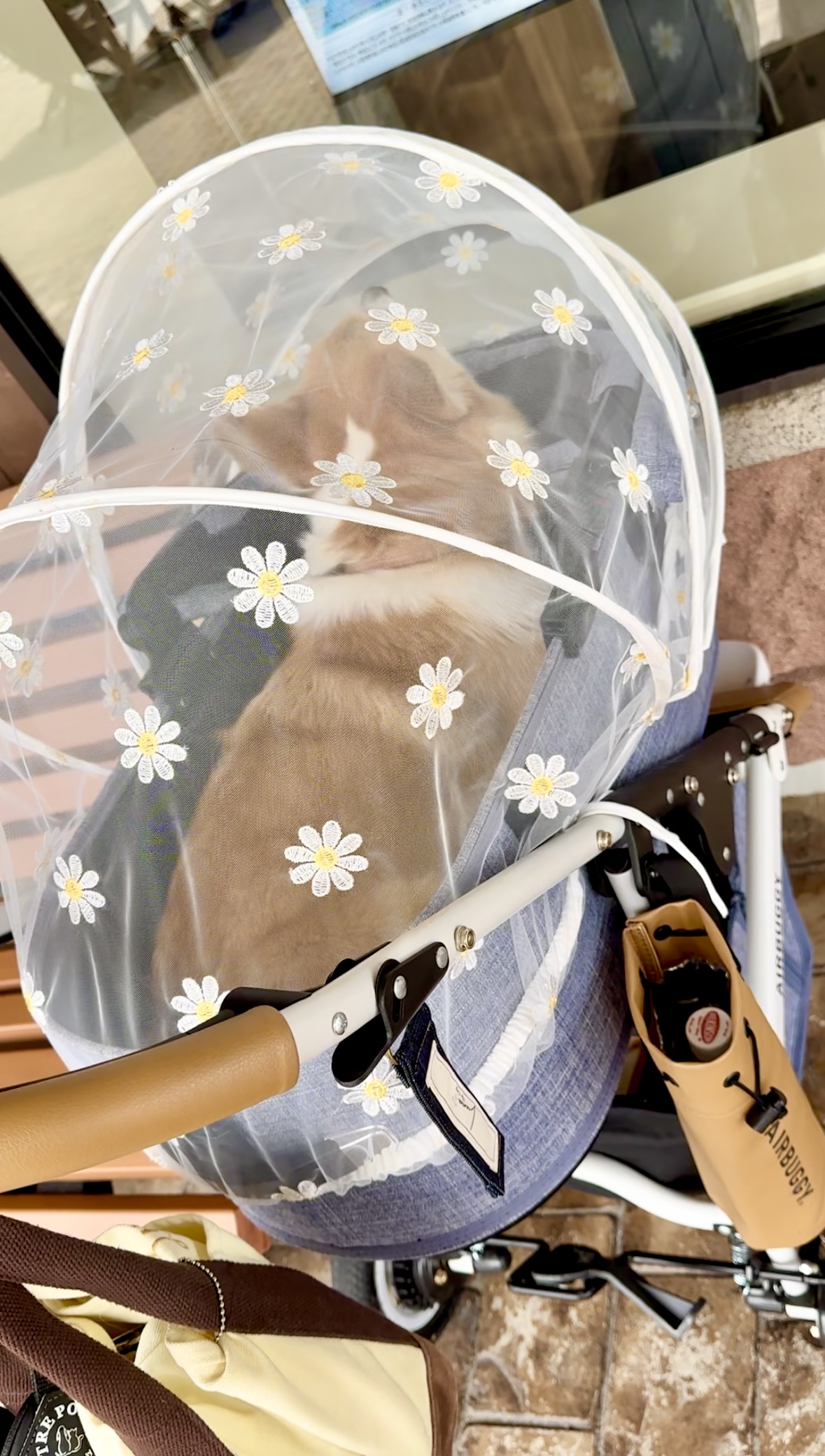 お出掛け便利グッズ*