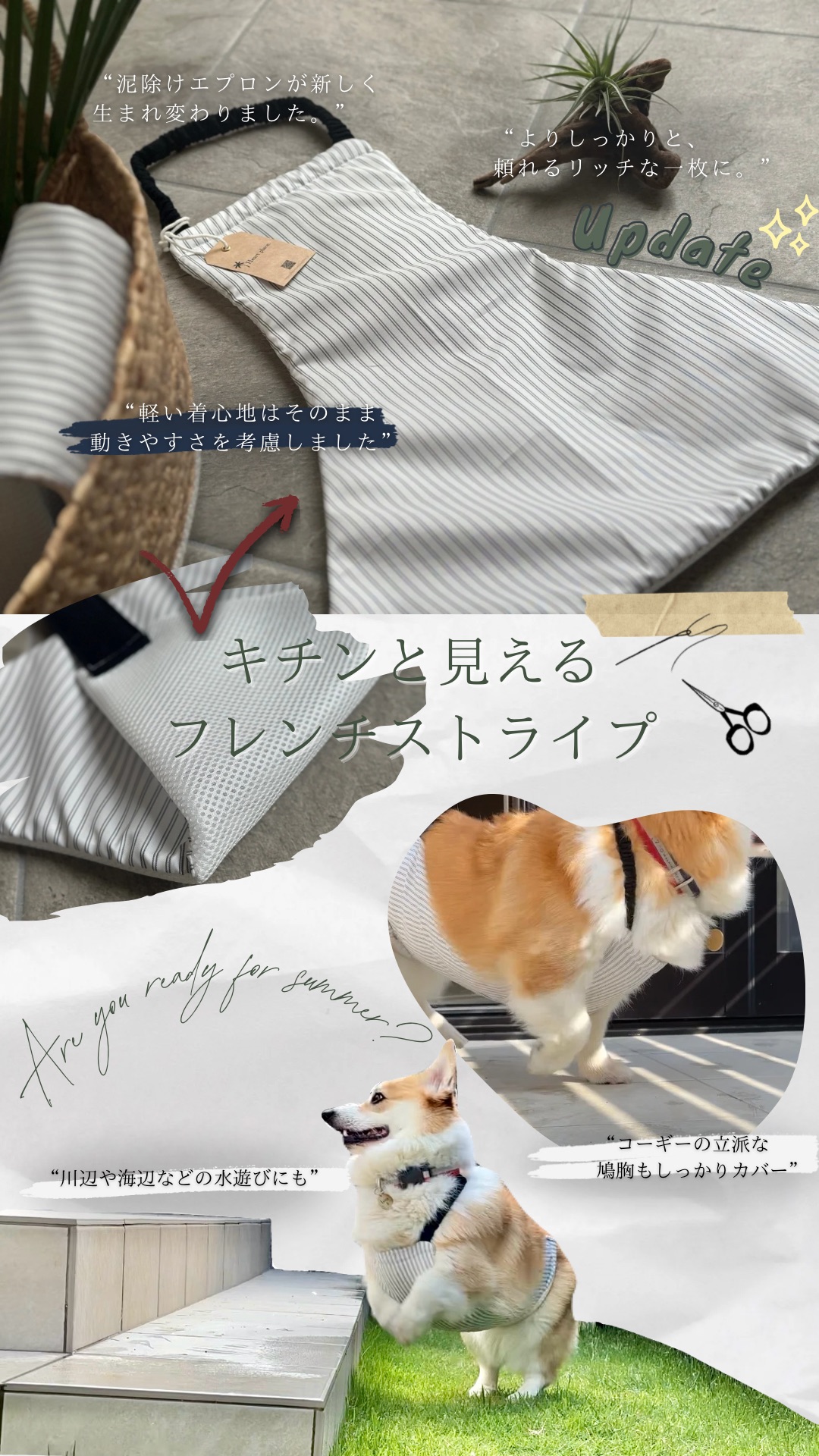 新エプロンのキービジュアル公開*