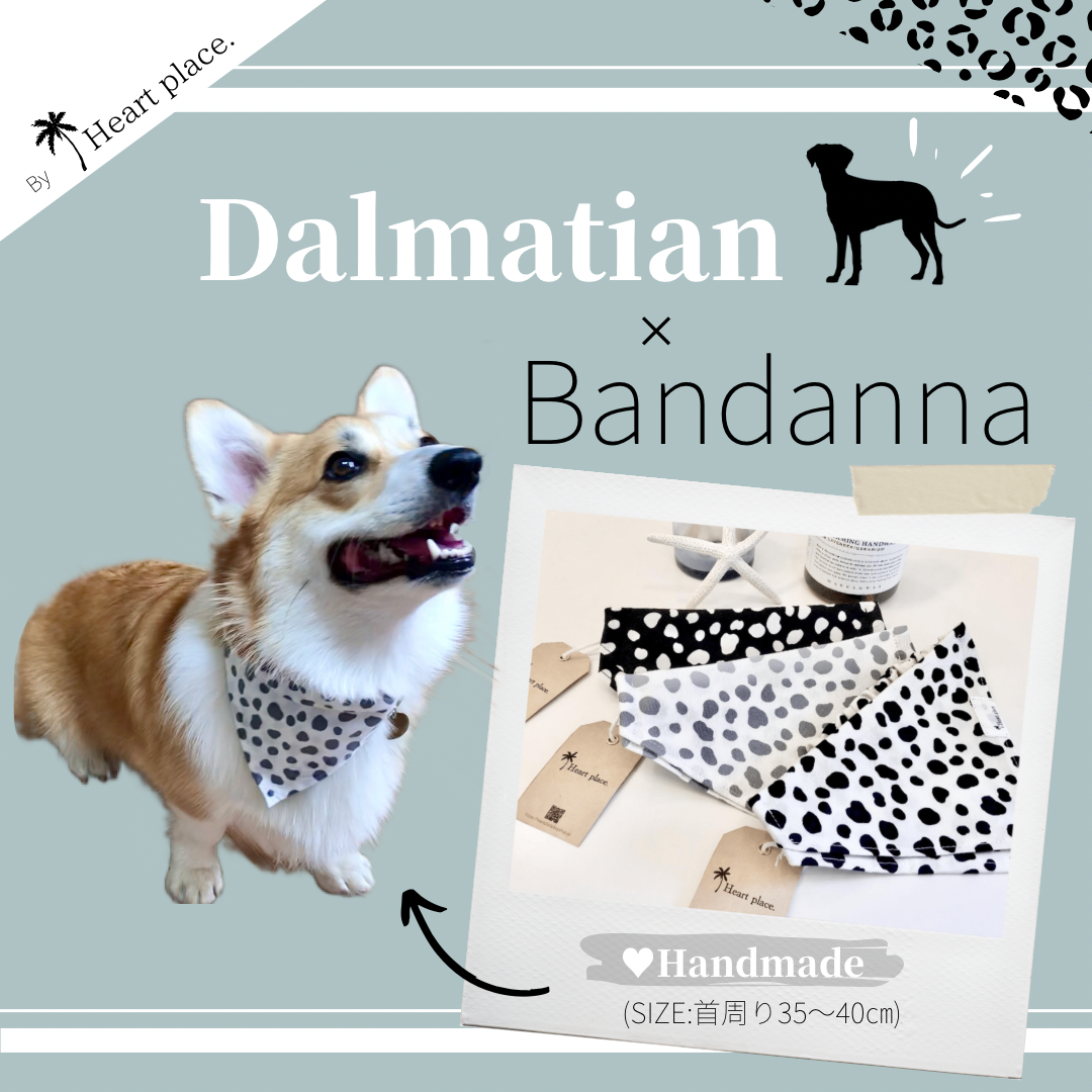 WEB SHOP OPEN 𓇼”