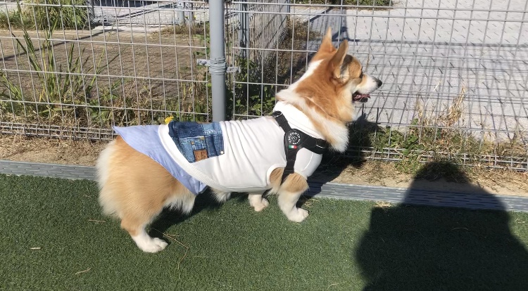 レイヤードシャツ*試着