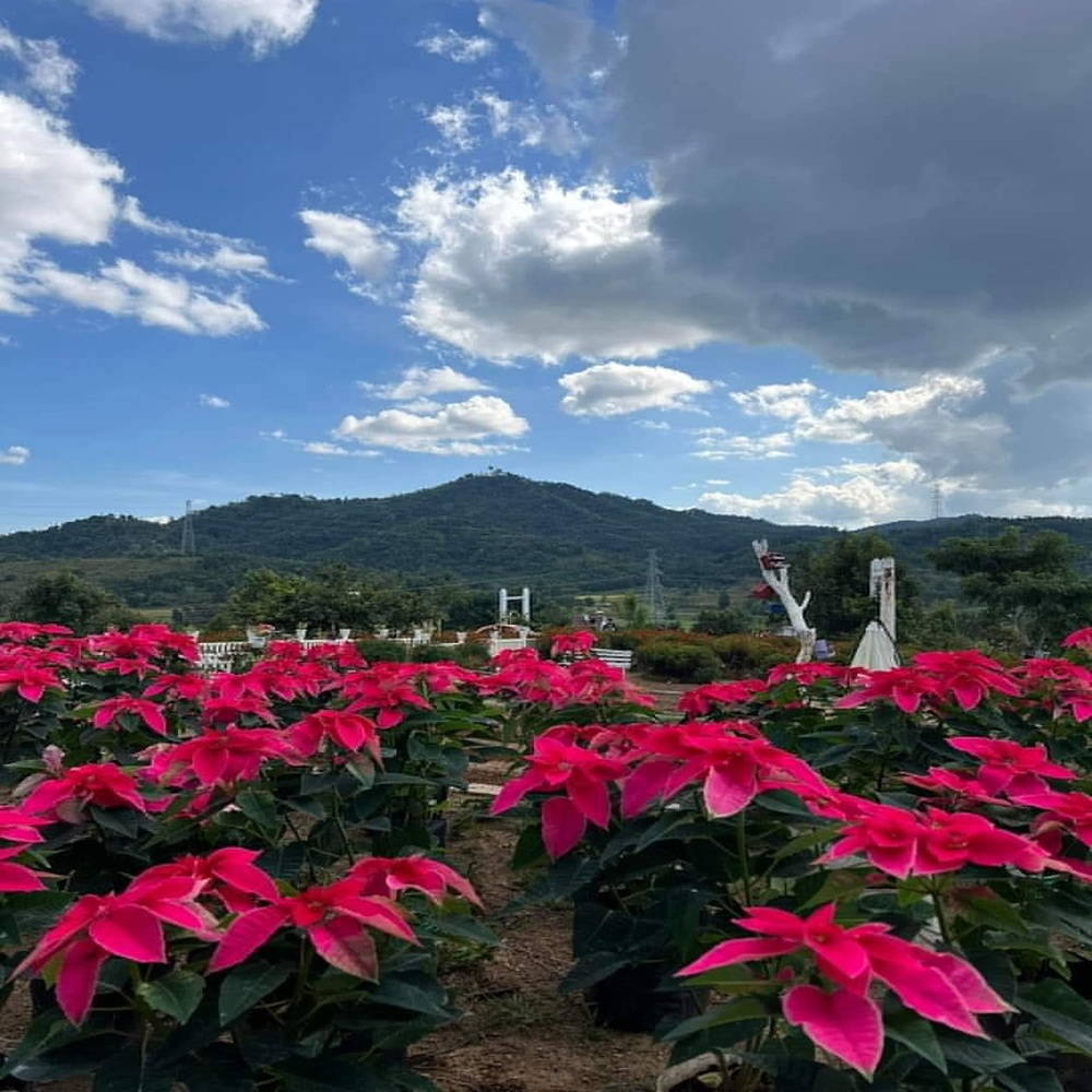 ピンウールウィン近郊の公園、マウントケーブルガーデン