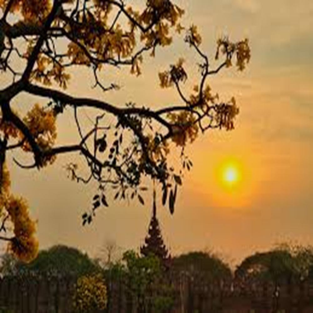 ミャンマーの春の到来