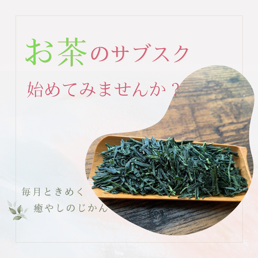 【サブスク】かぶせ茶のお得な定期便始めました！