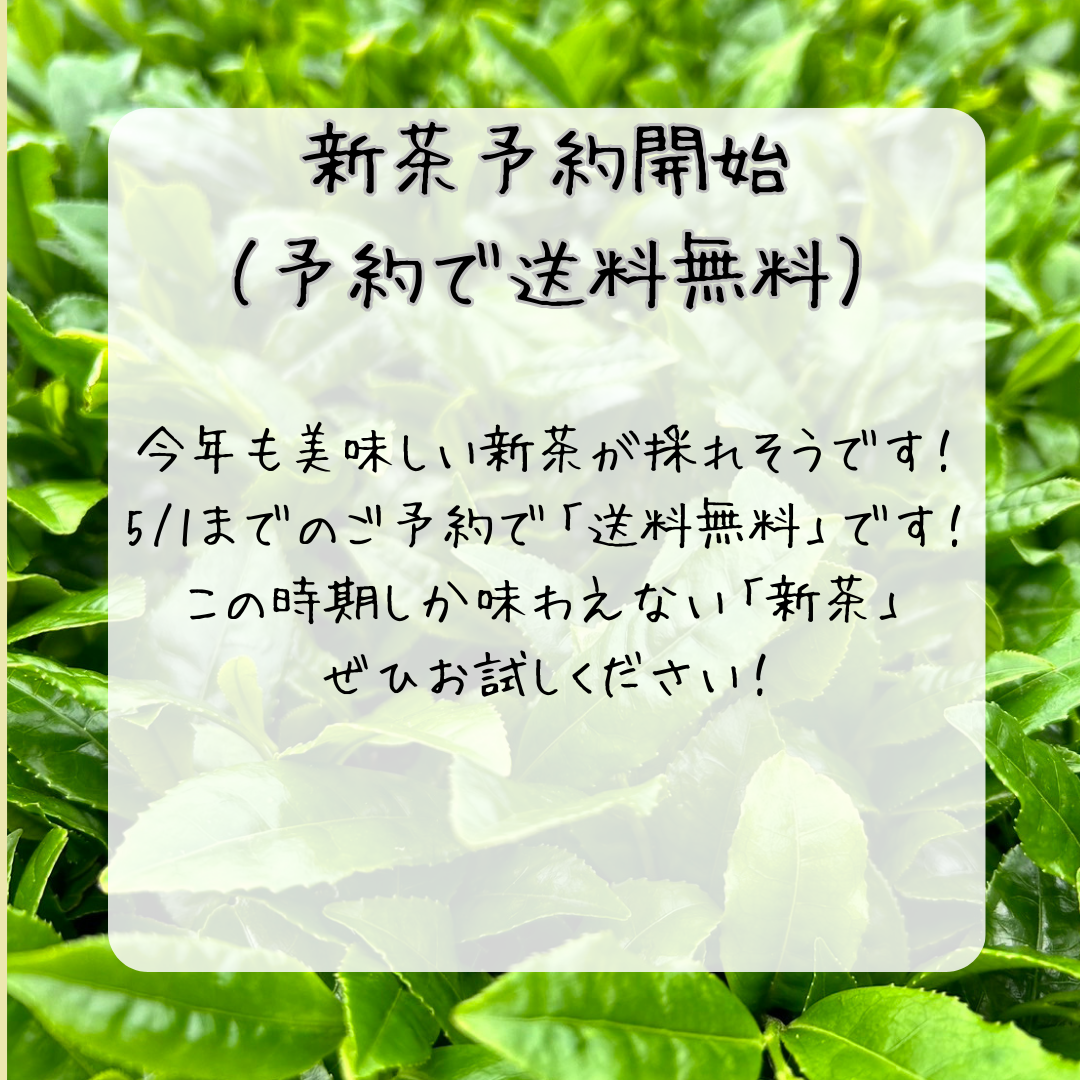 令和7年新茶予約開始！5/1までに予約で送料無料キャンペーン！
