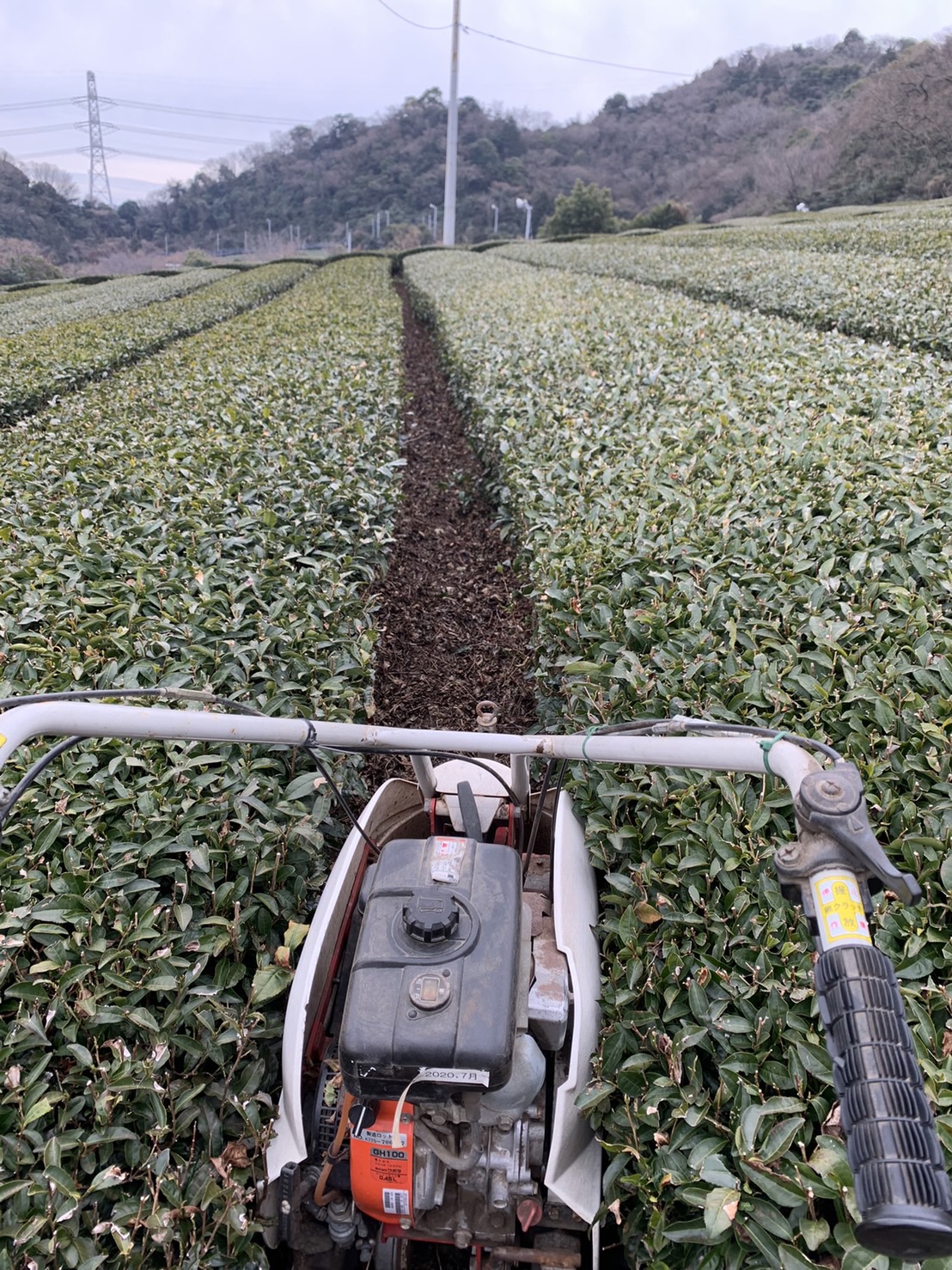 お茶のながやのこだわり