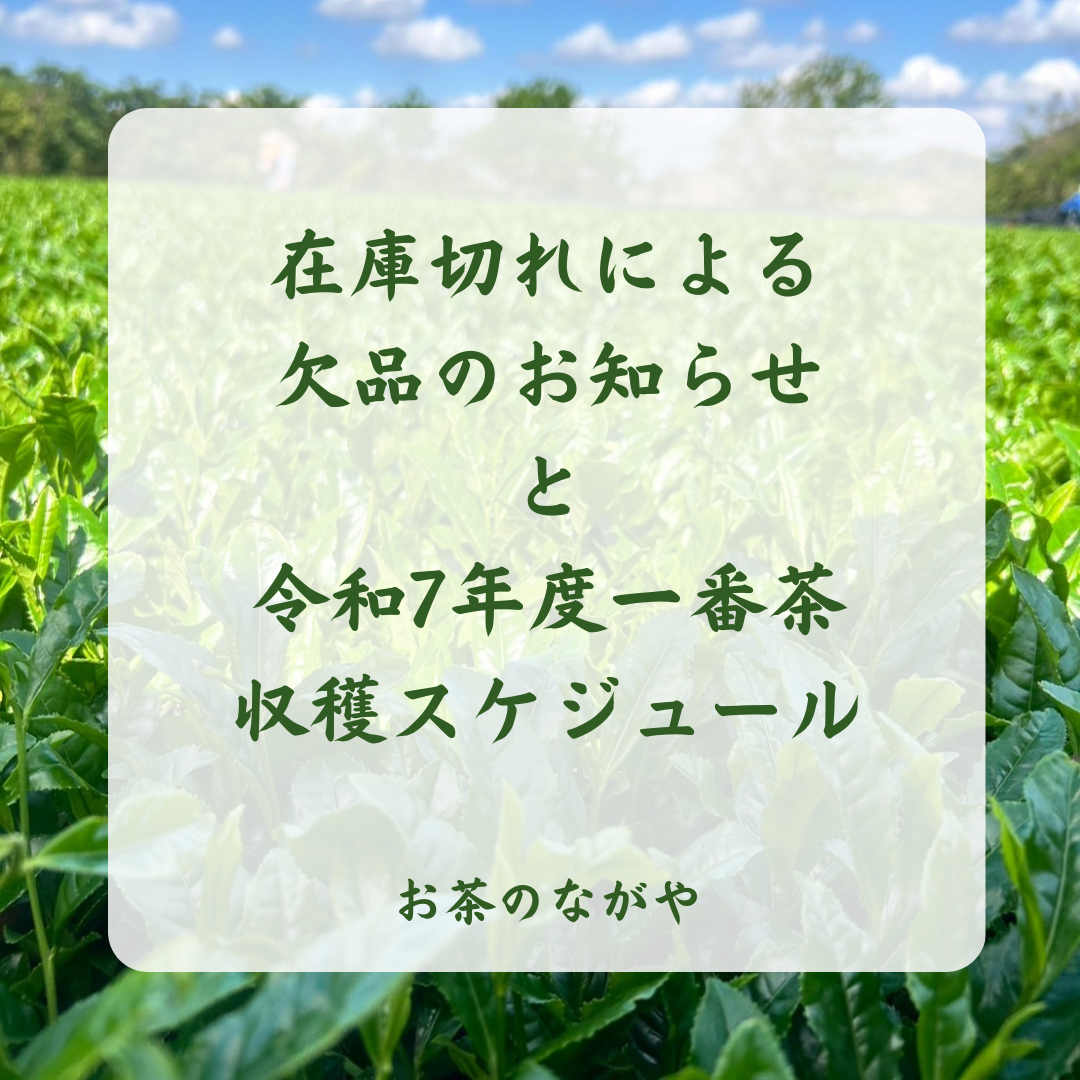 【お知らせ】在庫切れによる欠品と、令和７年度新茶収穫スケジュール