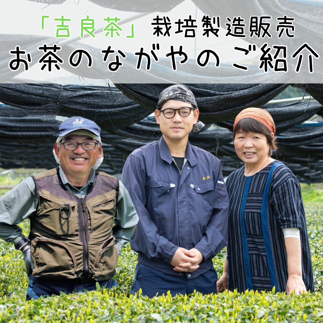お茶のながや　当園のご紹介