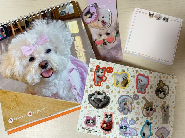 私の大好きなワンちゃん🐶