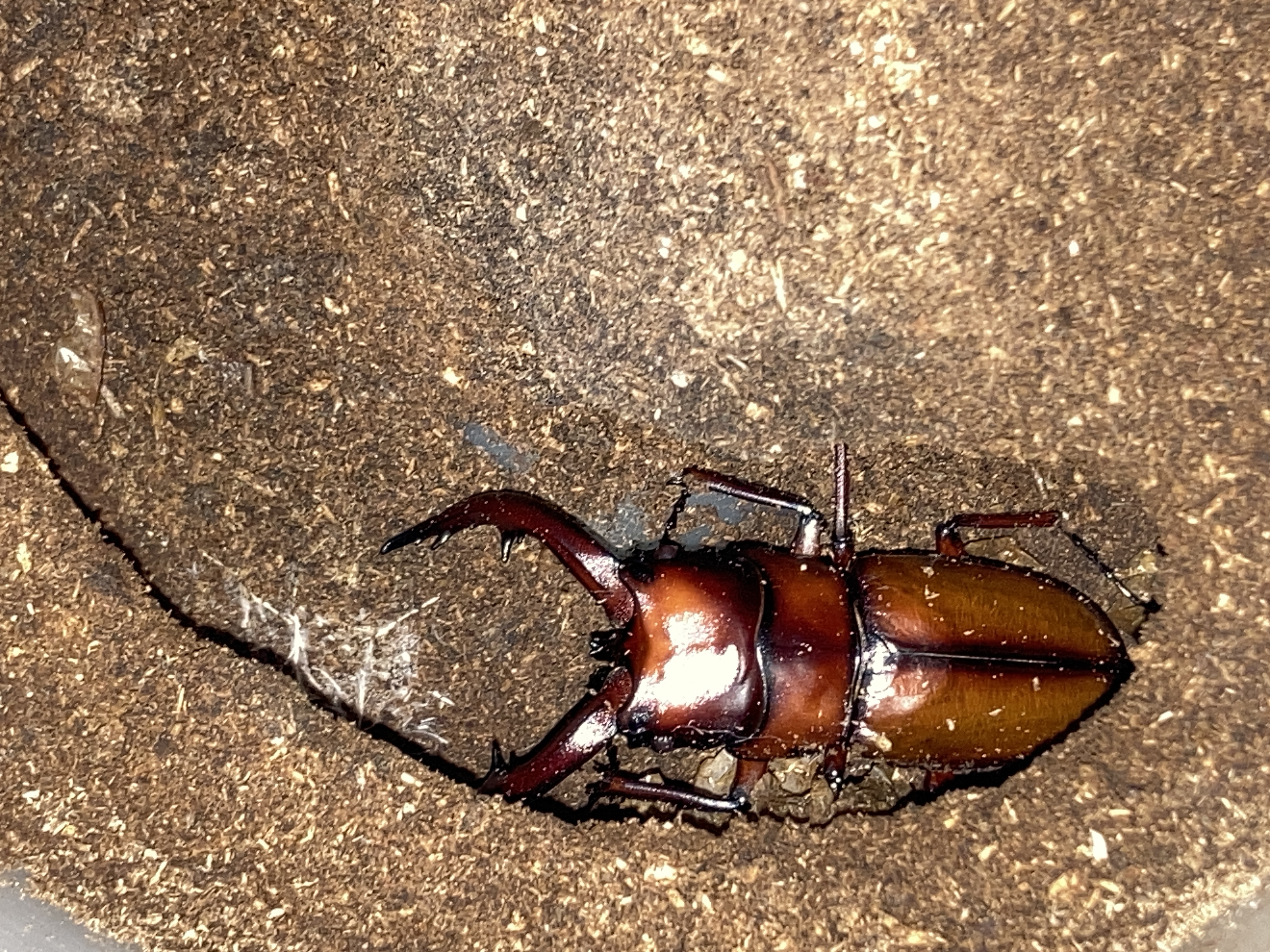 深夜の割出し！
