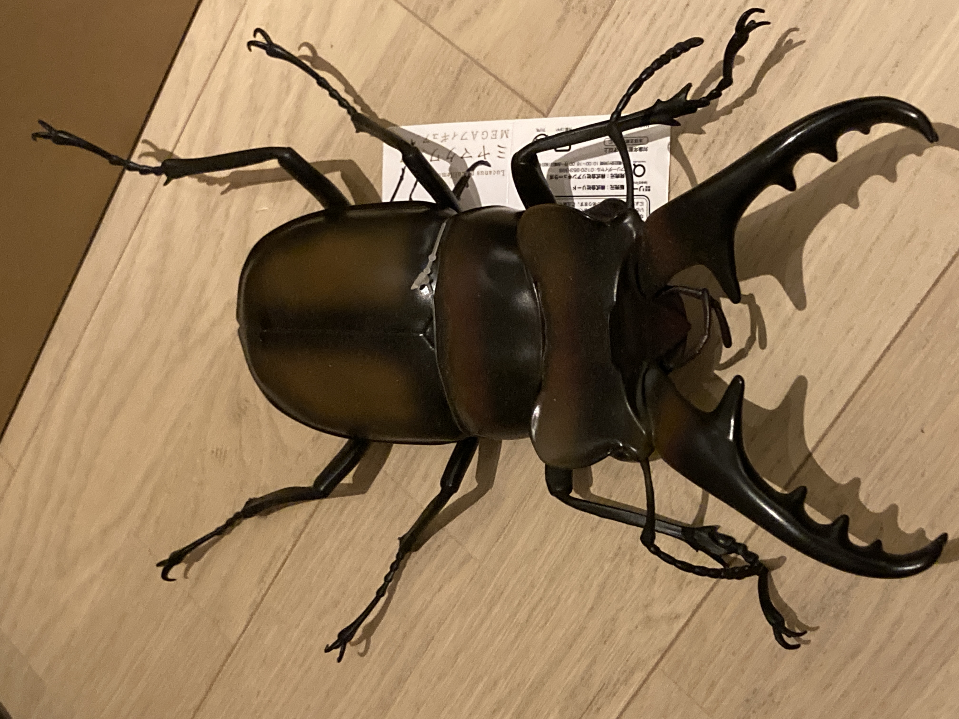 本当にいたら恐ろしい！