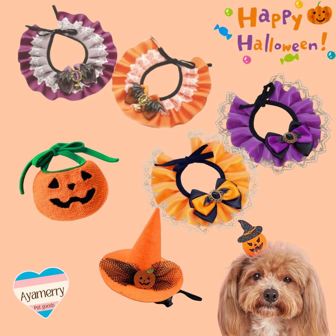 🎃2024ハロウィン商品入荷しました👻
