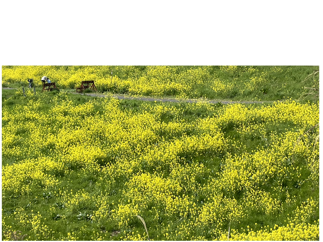 幸せの瞬間