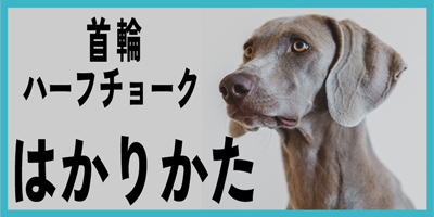 首輪の計測について