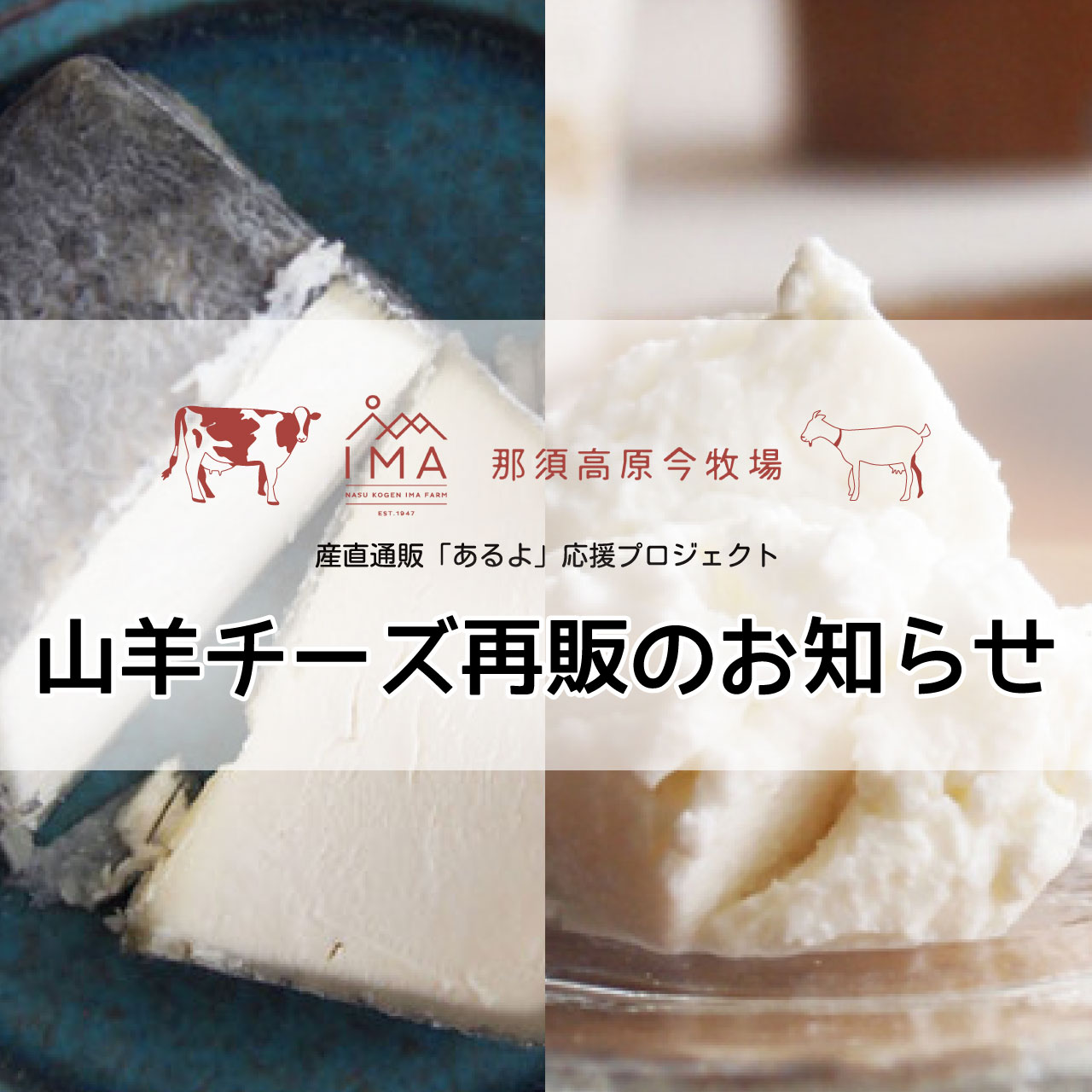 山羊チーズ再販のお知らせ【2023年5月最新】