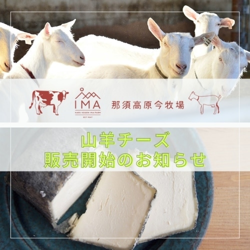 山羊チーズ【茶臼岳・朝日岳】8月発送分の注文受付中！