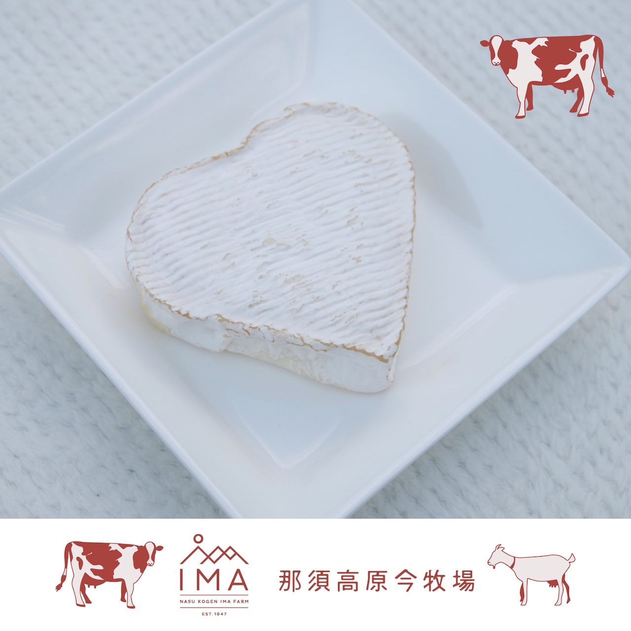 2月14日(土)のバレンタインには、ハート型の白カビチーズ「おおひなた」