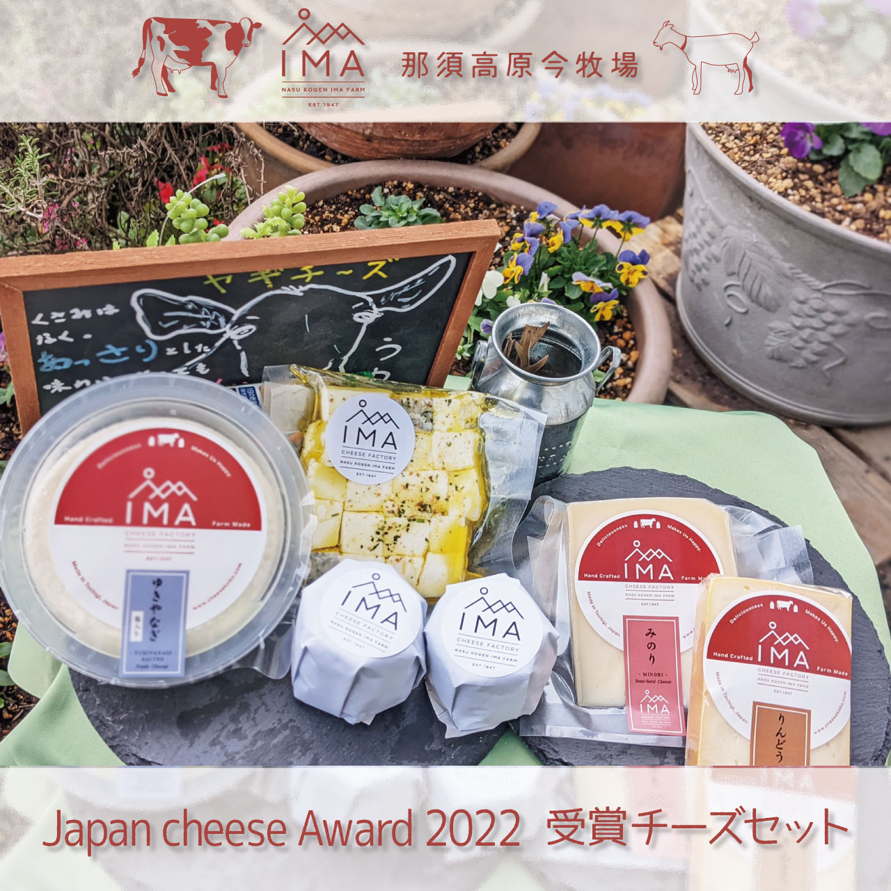 今牧場のチーズたちがJapancheeseAward2022受賞しました！！