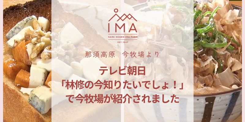 テレビ朝日「林修の今知りたいでしょ！」で今牧場が紹介されました！