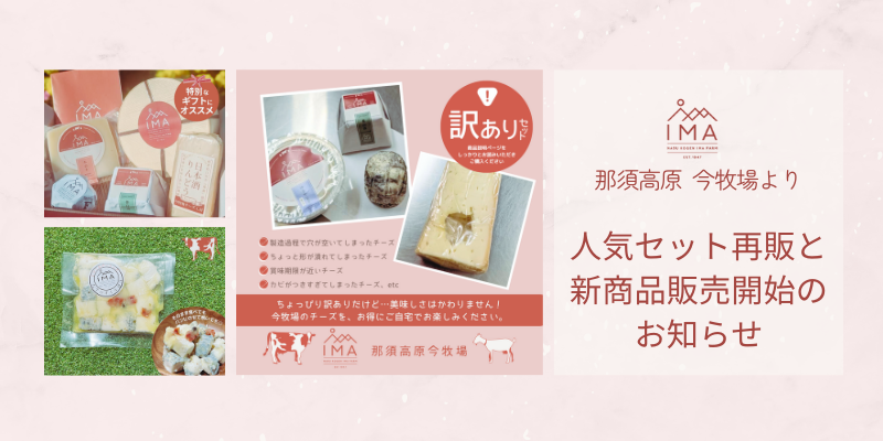 人気セット再販と新商品販売開始のお知らせ