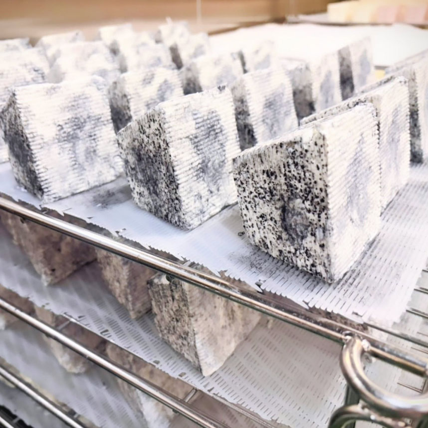 ヤギチーズ「茶臼岳」5/20以降から順番に発送予定＆5/20に6月以降発送の注文受付開始！