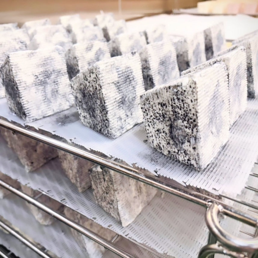 山羊チーズ「茶臼岳」「朝日岳」順次発送中！
