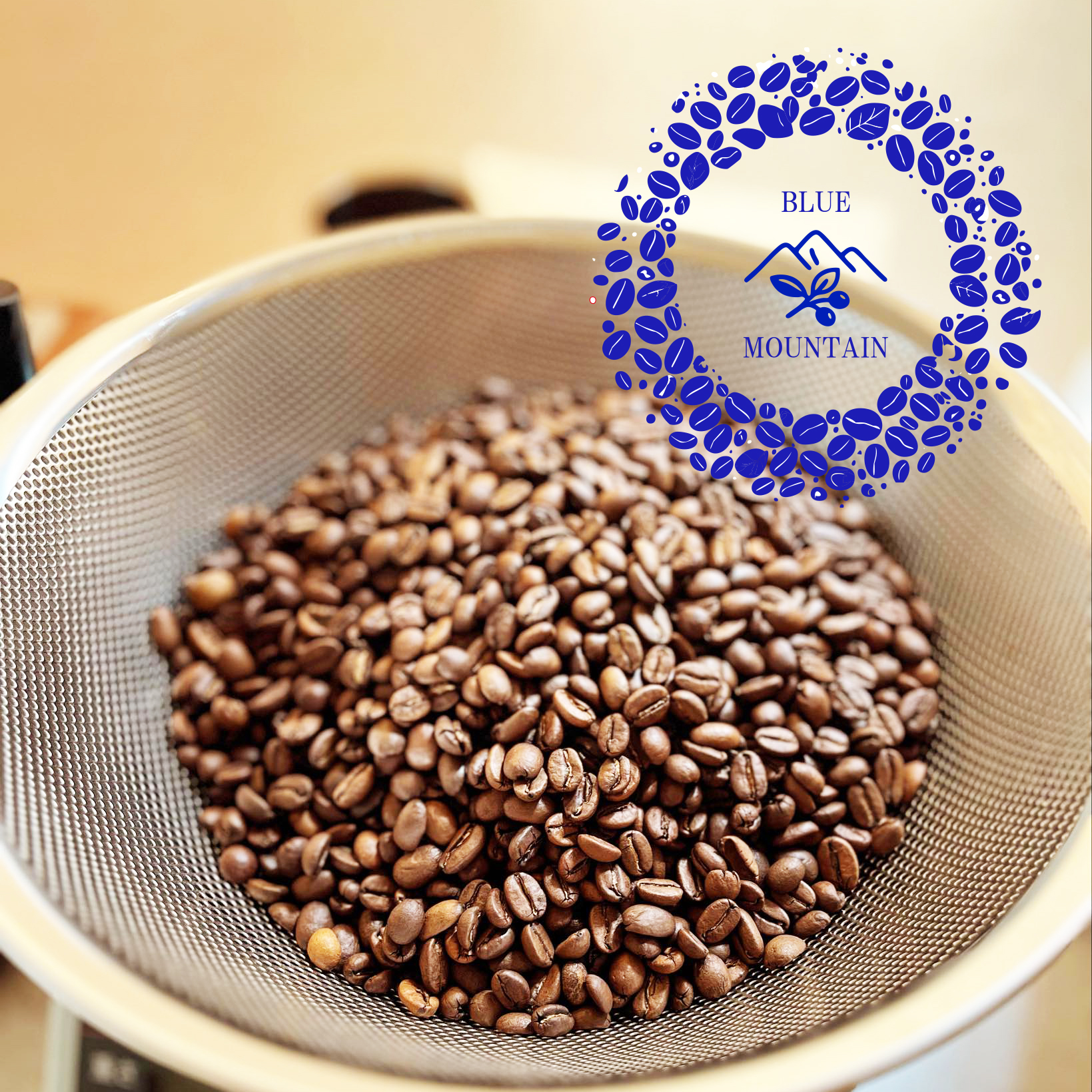 ブルーマウンテン入荷✨