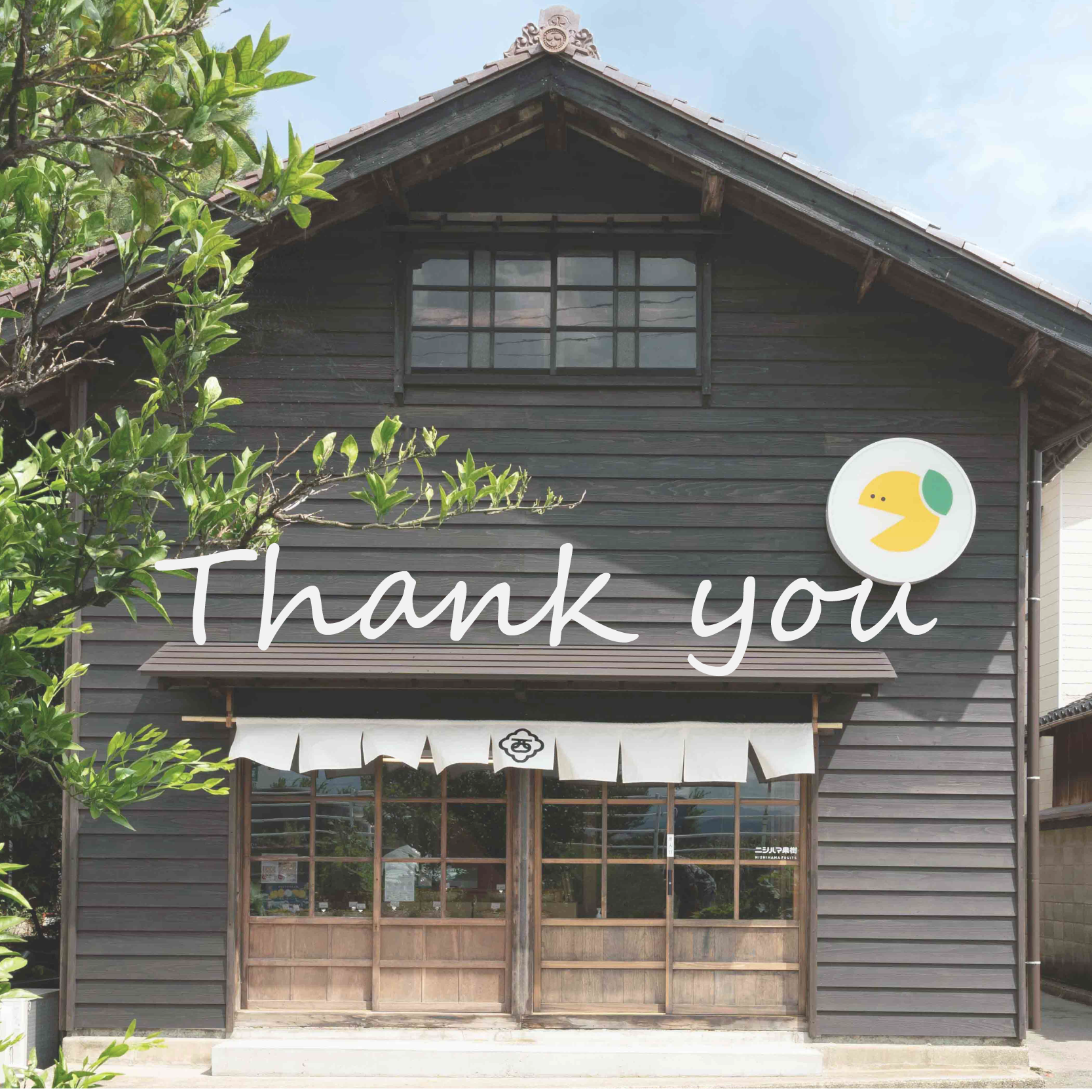 2025年の梨は終了しました