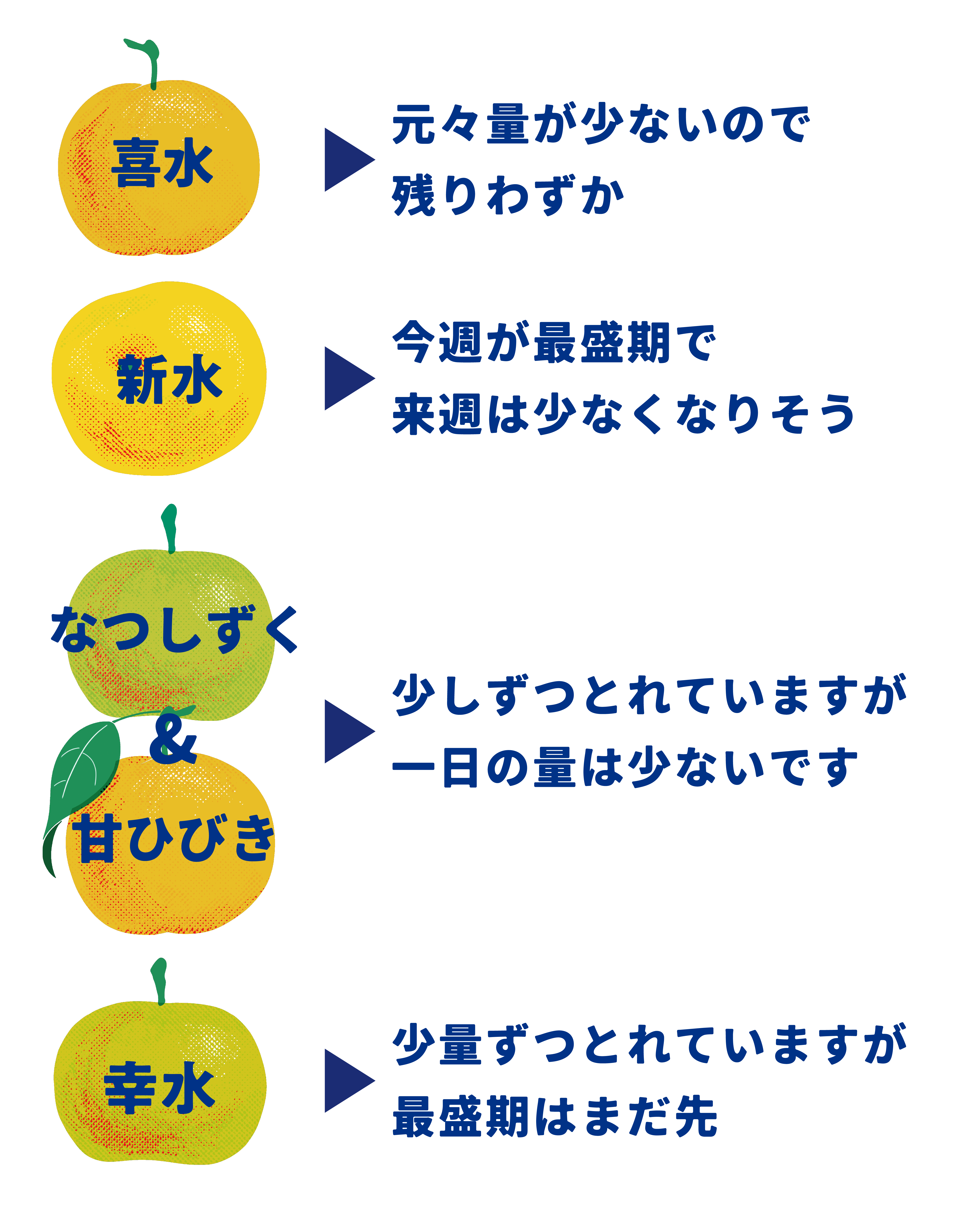 8/6はお休み、8/7~毎日営業します