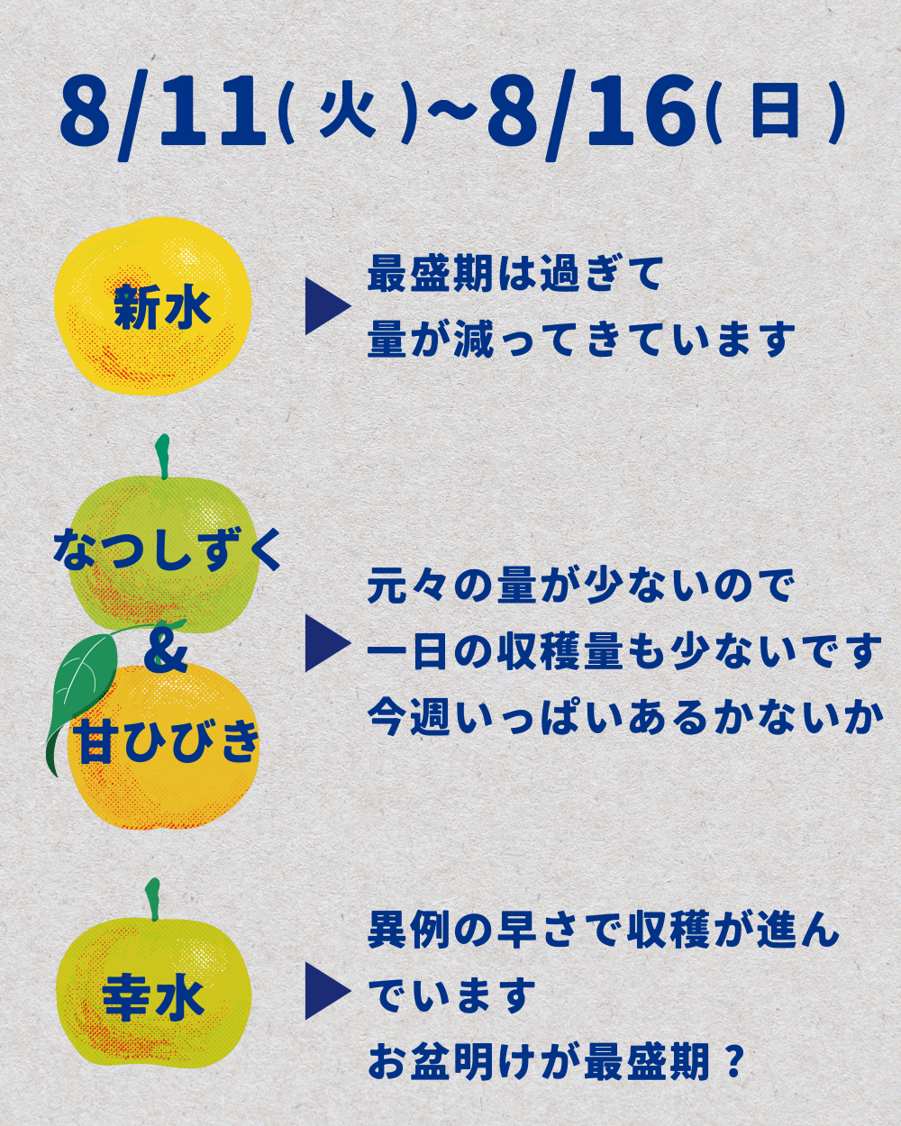 今週(~8/16)の状況