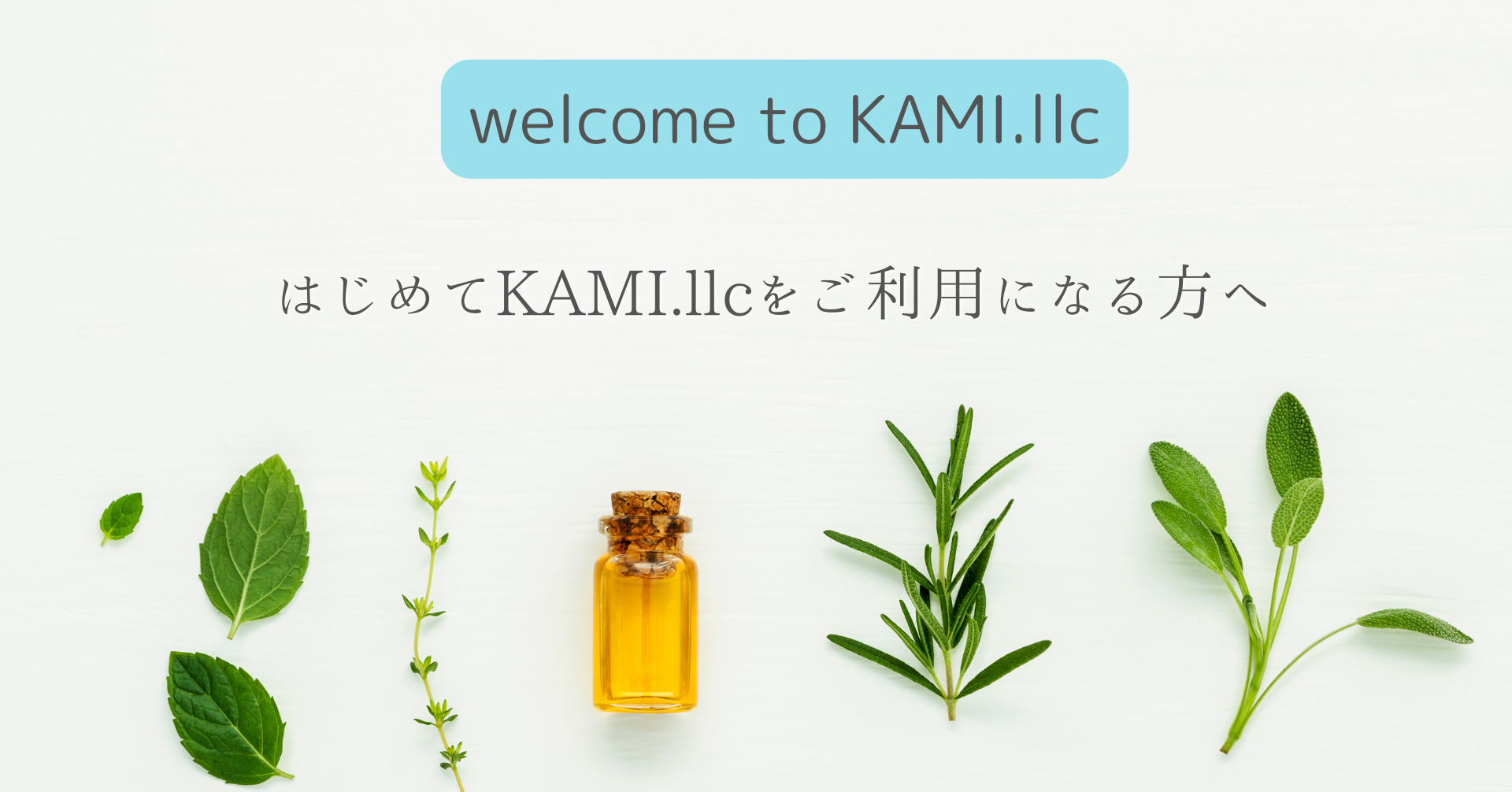 はじめてご利用になる方へ｜KAMIc.llcご利用ガイド
