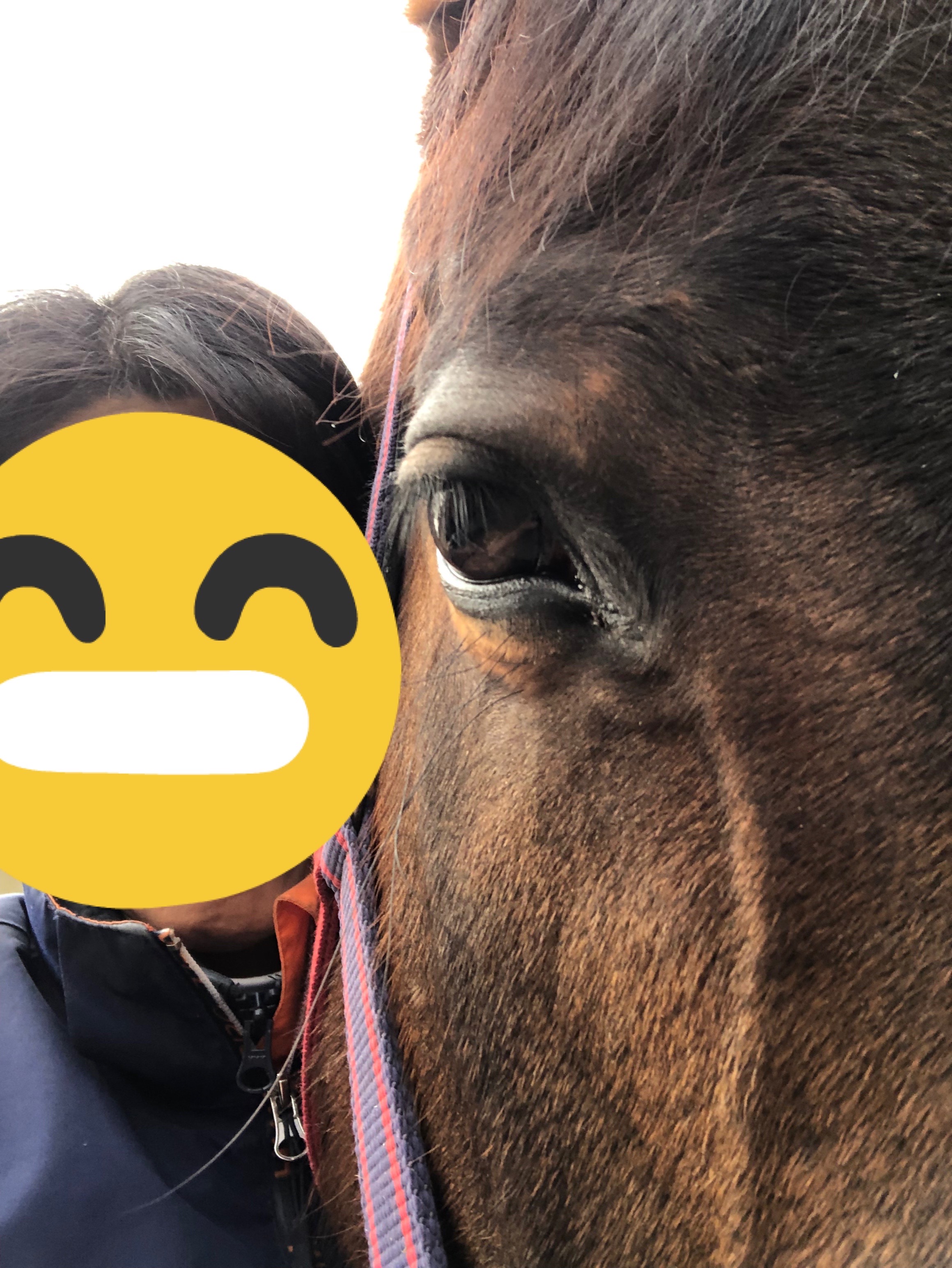 ミレディお引越し記念クーポン発行