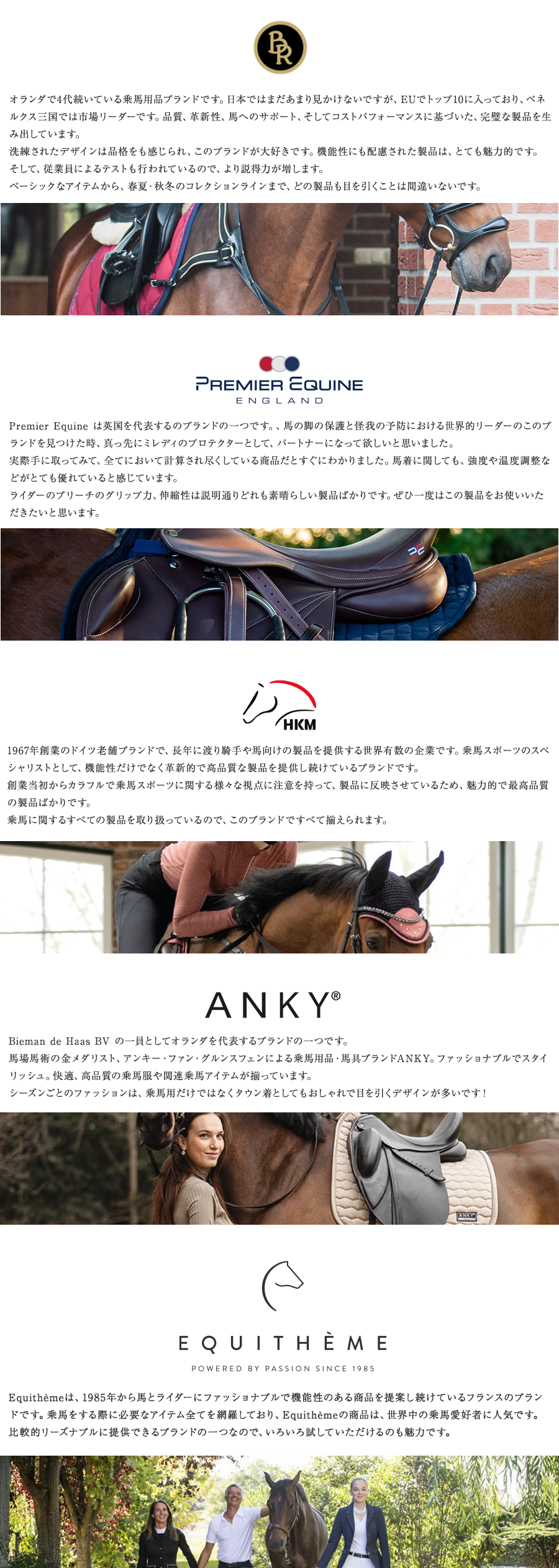 ＢＲＡＮＤ info