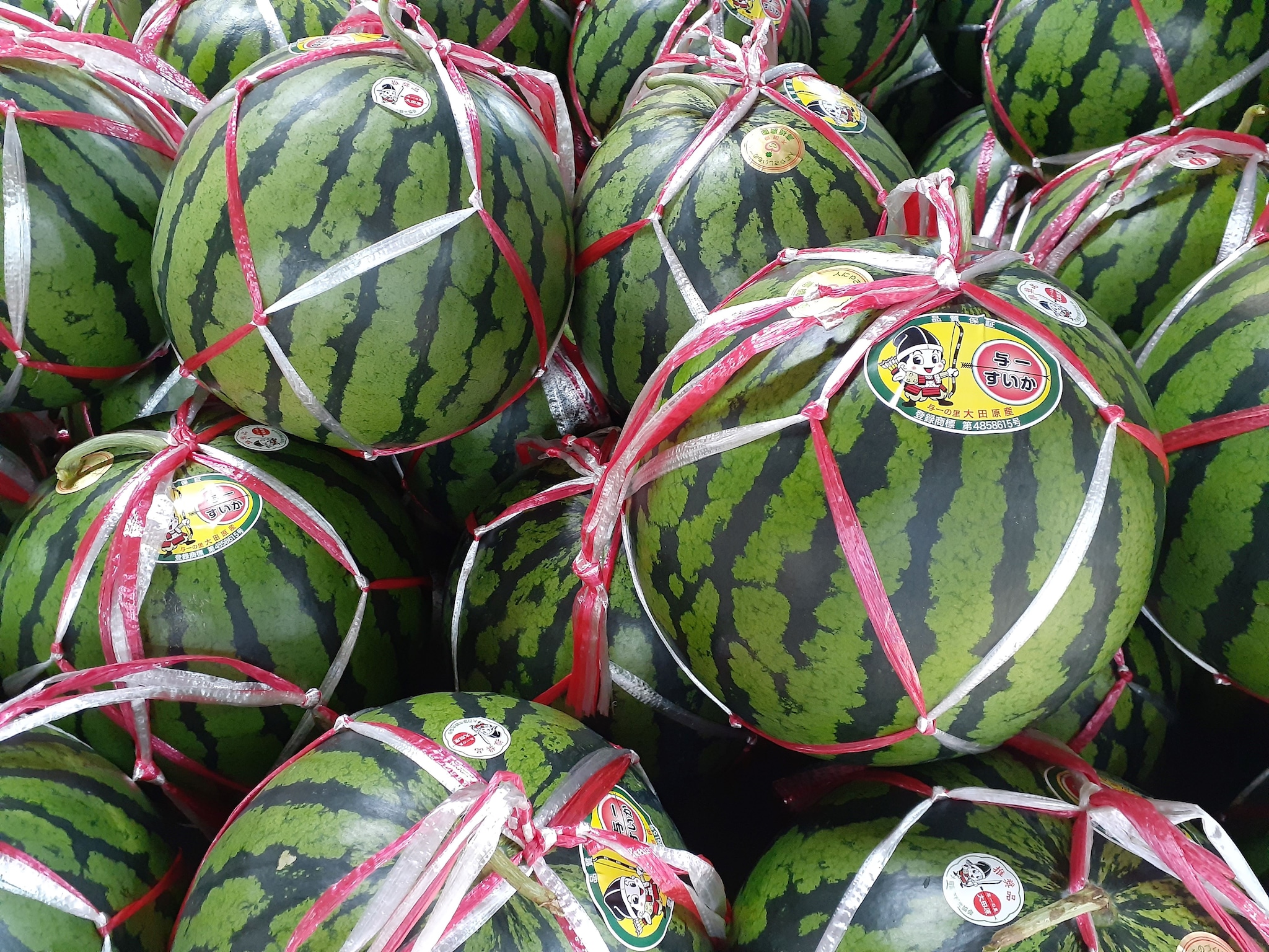 「与一西瓜」ネット販売は完売御礼！＆発送について