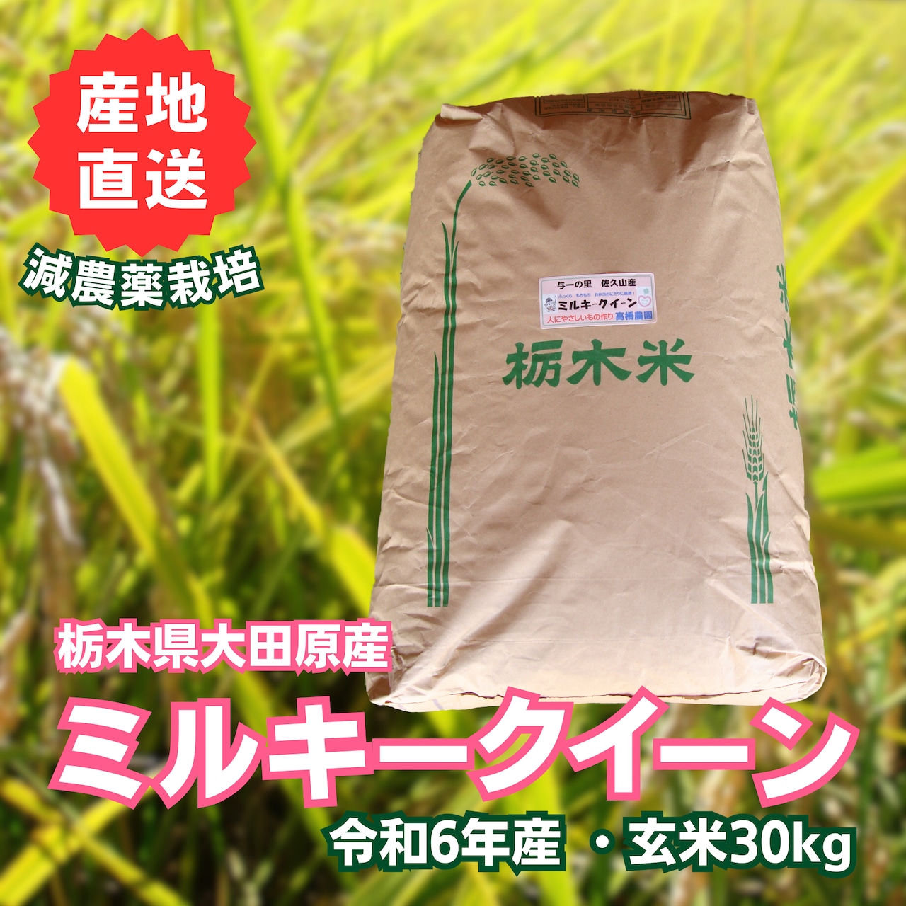「ミルキークイーン」販売につきまして