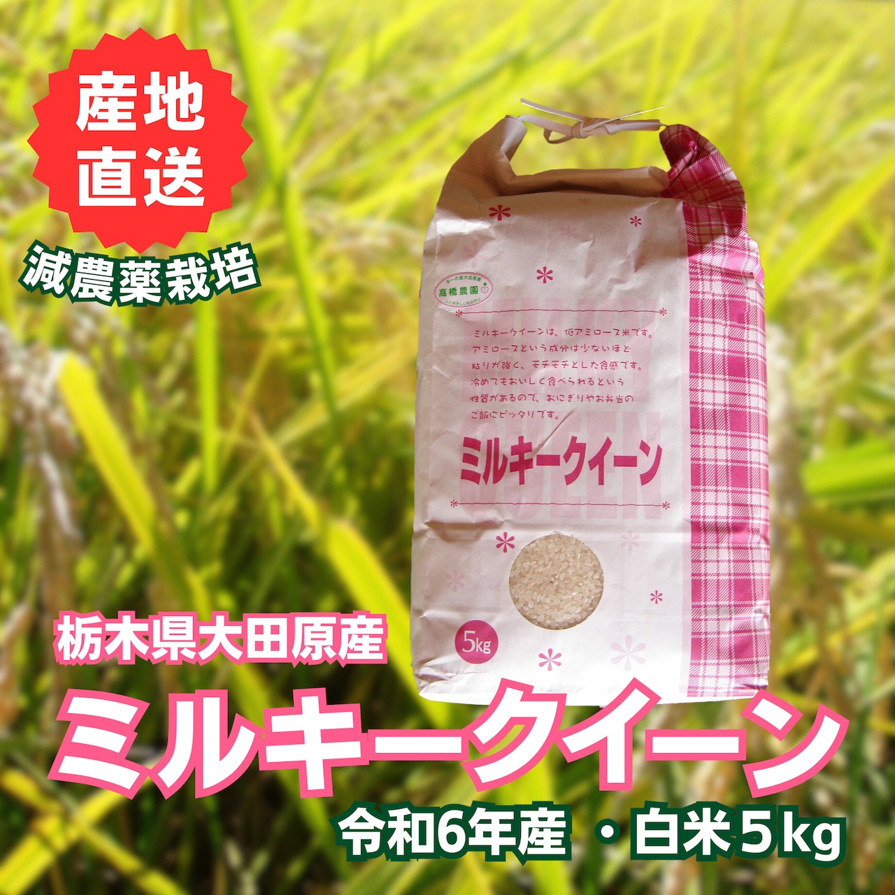 ＜新米＞「ミルキークイーン」8/29（木）注文受付開始いたします！！！