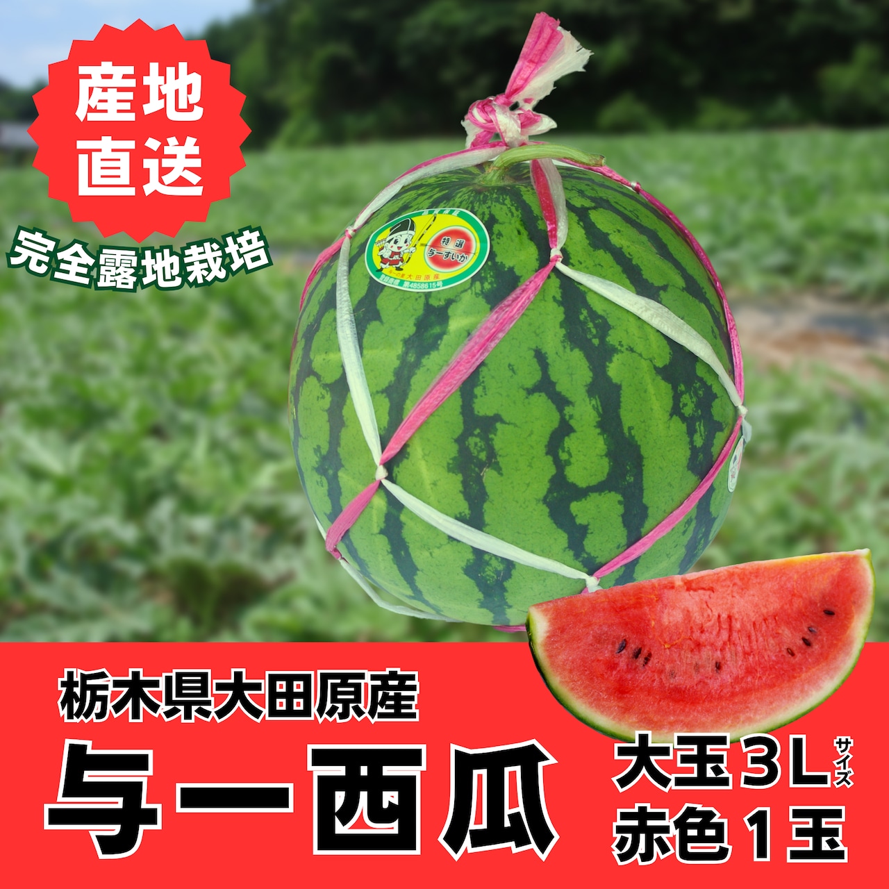 2025年「与一西瓜」の注文受付につきまして