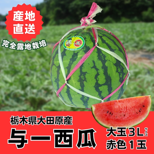 「与一西瓜　大玉、小玉」の注文状況・発送につきまして（2024/7/3）