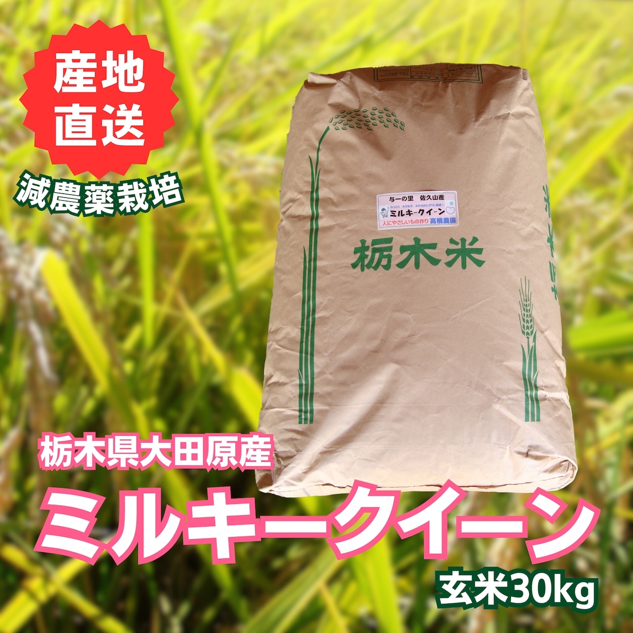 《発送に関するお知らせ》 <新米>「ミルキークイーン 玄米 30kg」