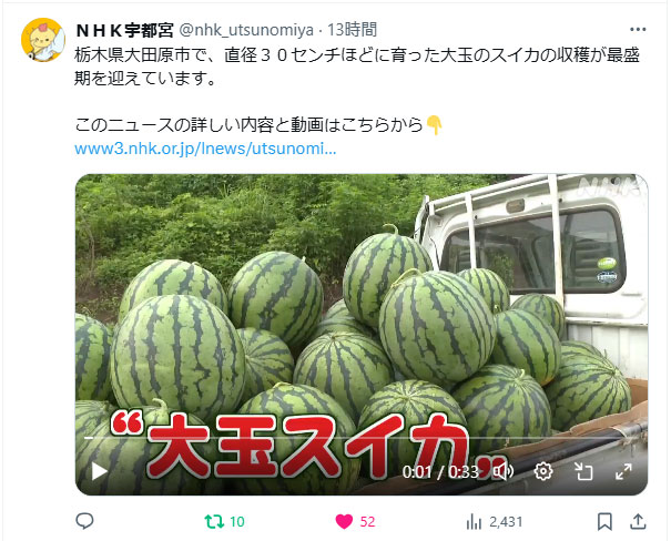 NHKでテレビ放送！「栃木 大田原 大玉スイカの収穫が最盛期」