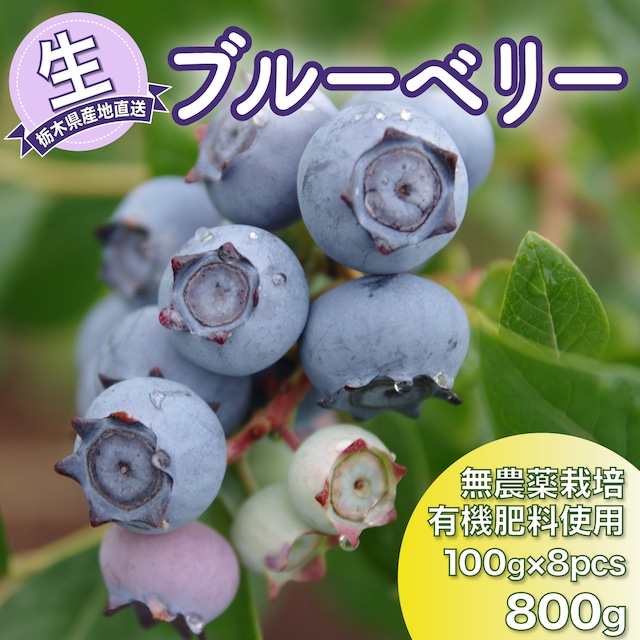 2024年の完熟ブルーベリー『生』、ネット販売は中止のお知らせ