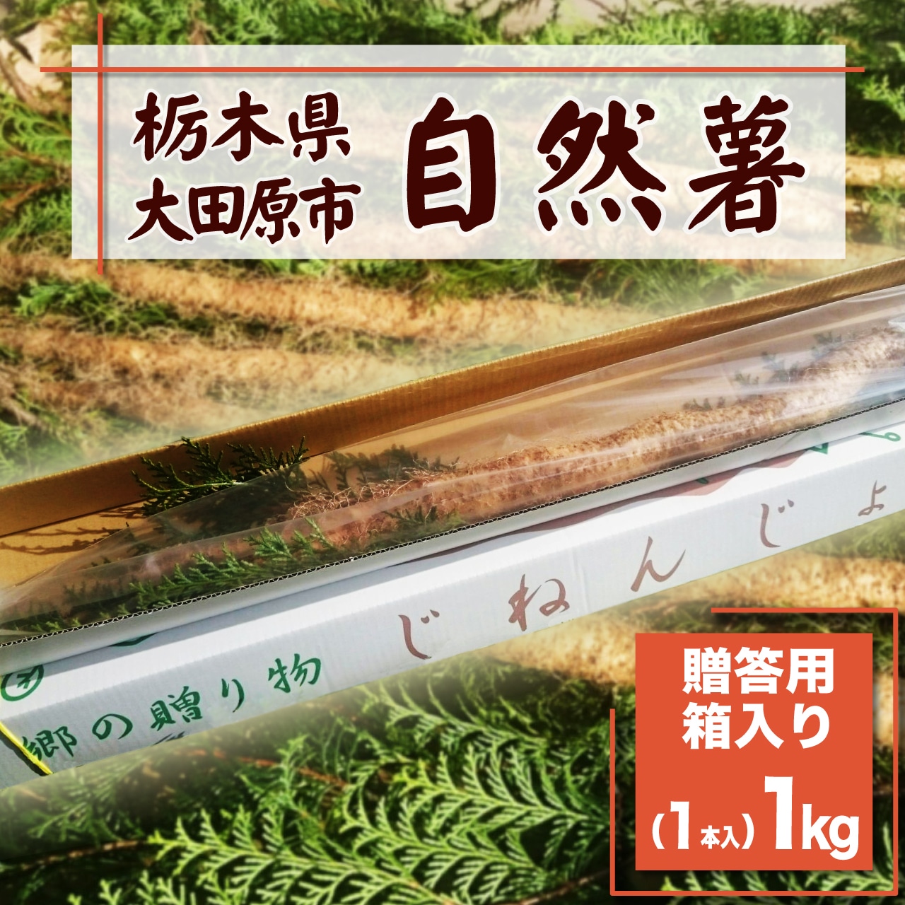 「自然薯」のネット販売につきまして