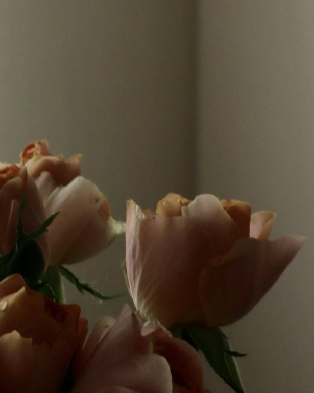 心を支えるものについて、今思うこと