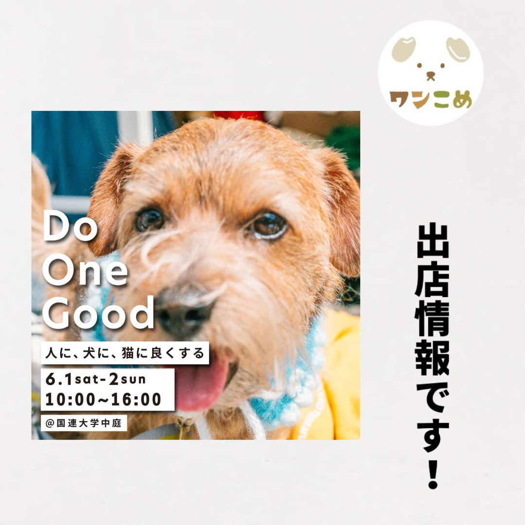 【出店情報】2024.6.1-2 Do One Good@国連大学中庭