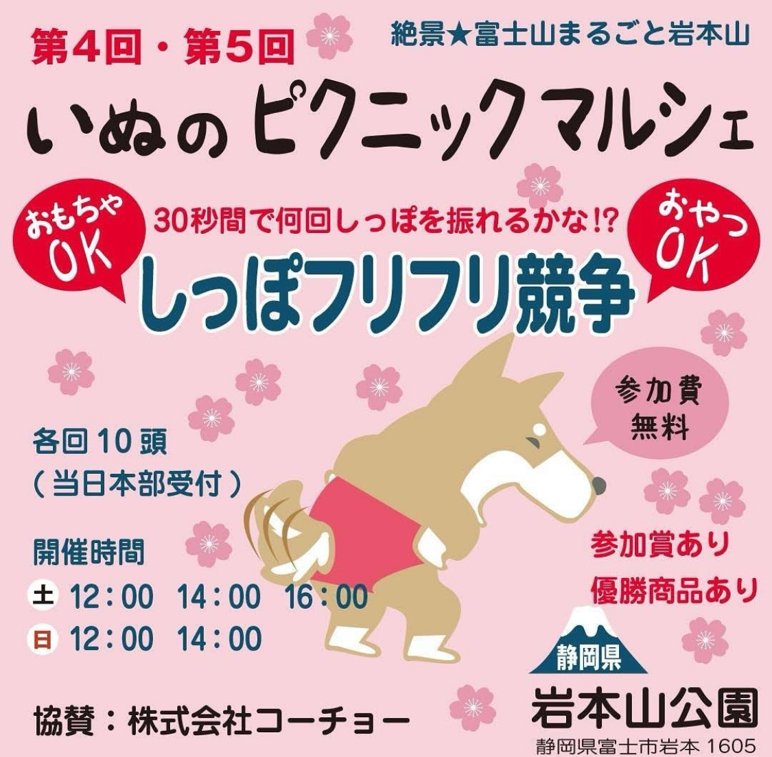 【出店情報】2024.2.10-2.11 いぬのピクニックマルシェ@静岡県 岩本山公園
