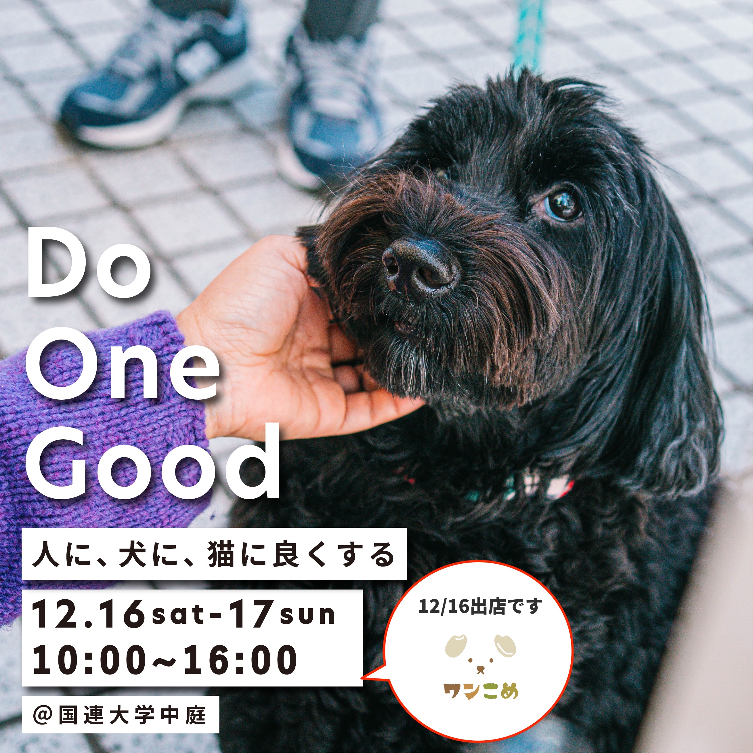 【出店情報】2023.12.16 Do One Good@国連大学中庭