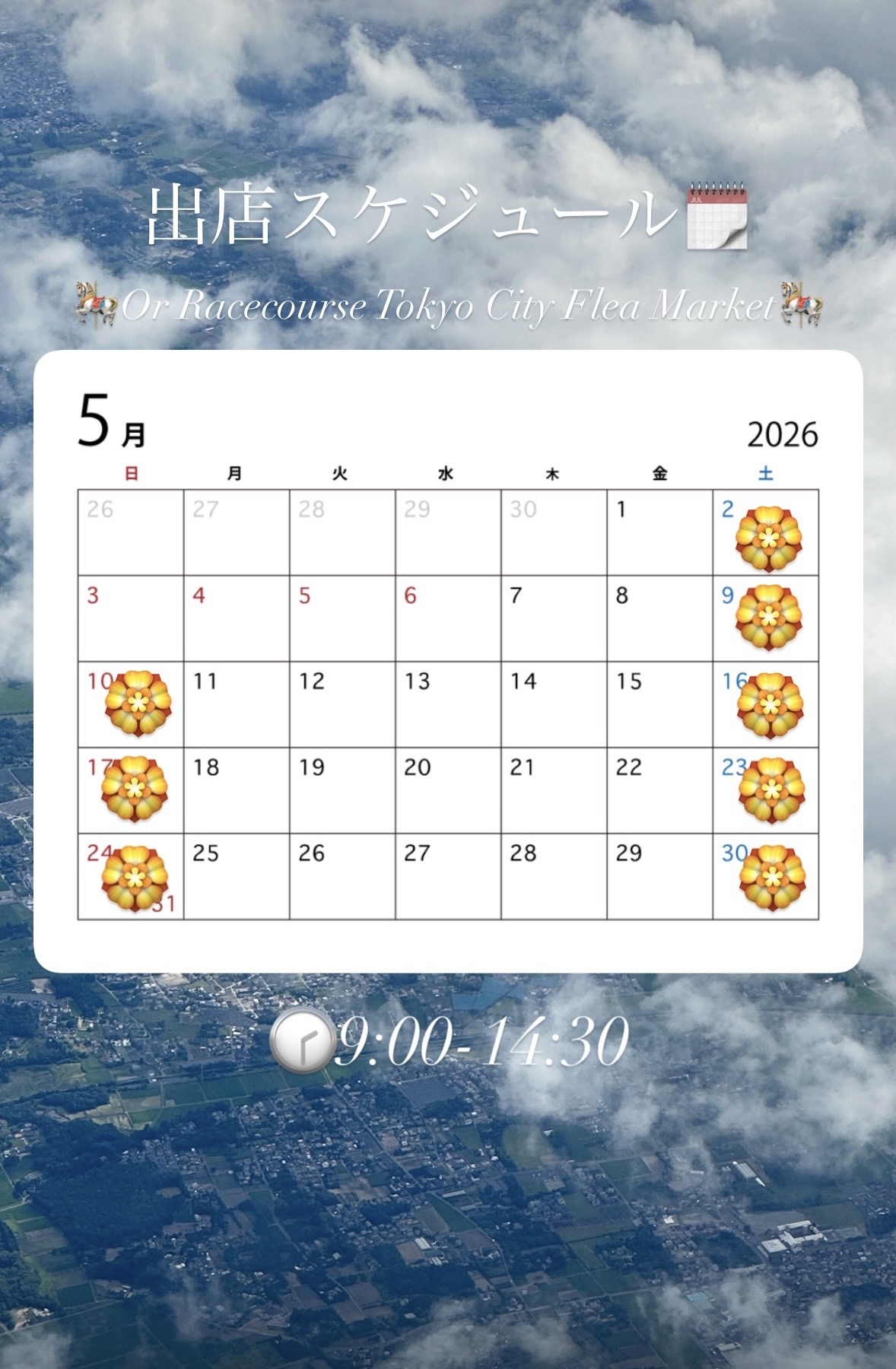5月出店スケジュール