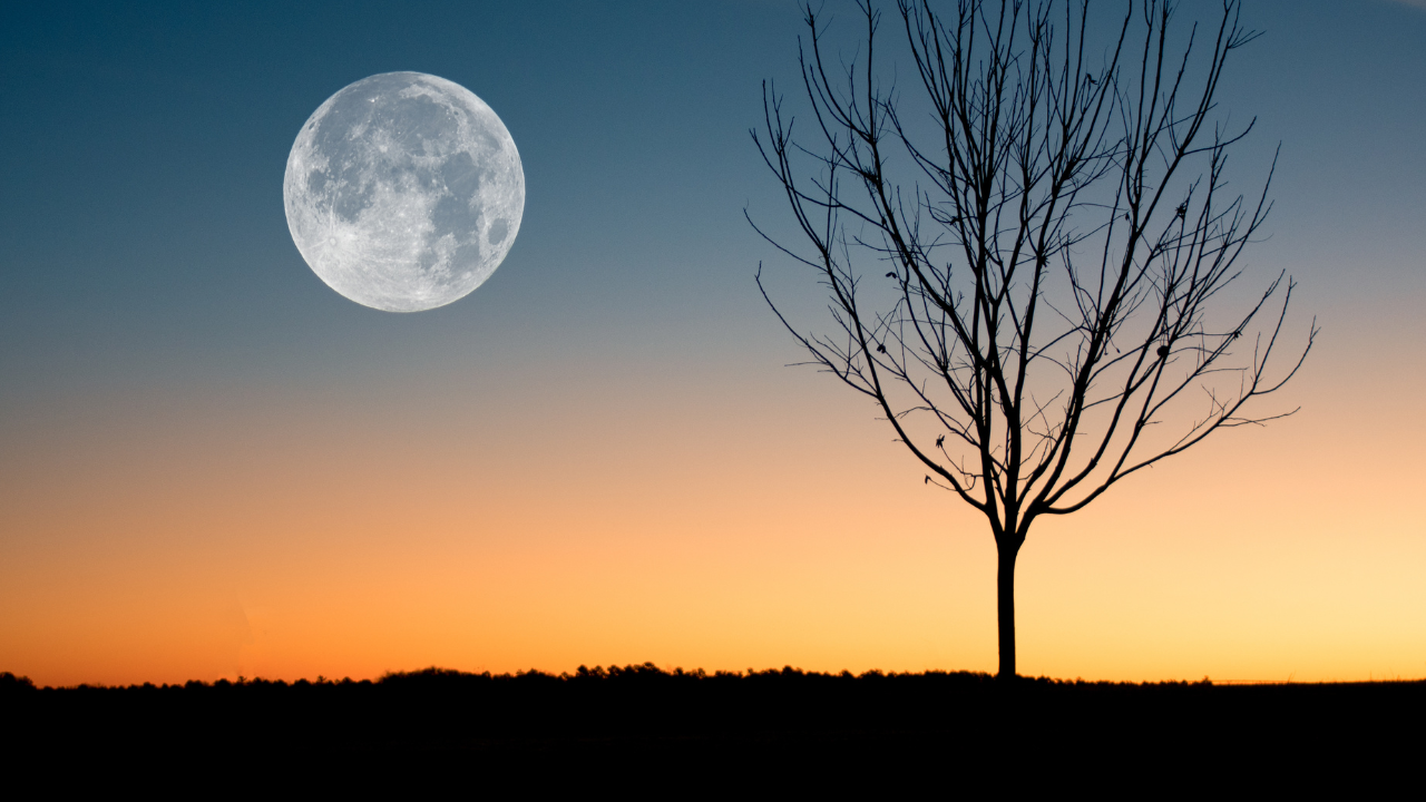 【満月】11月8日　今夜は満月＆皆既月食　見逃さないで！